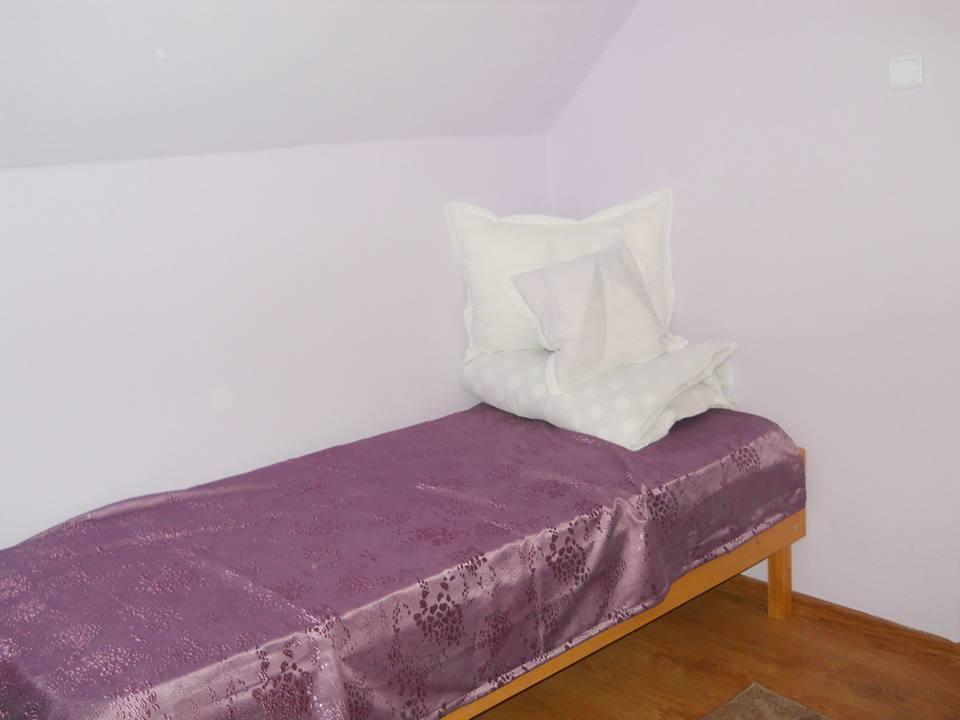 Ersa Panzio Hotel Bisericani  Room photo