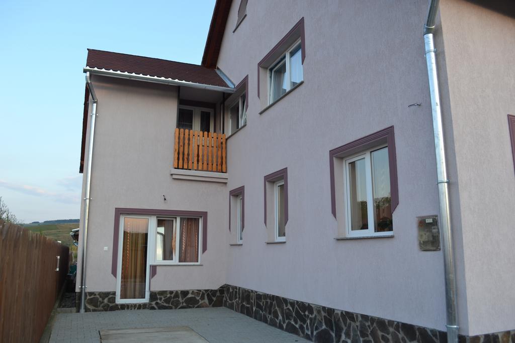 Ersa Panzio Hotel Bisericani  Exterior photo