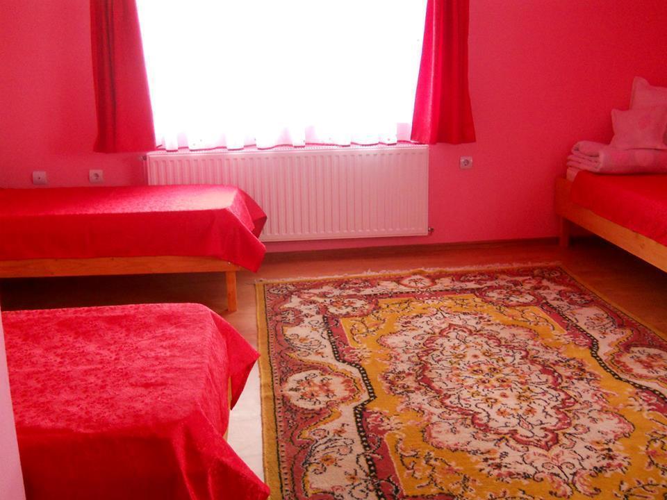 Ersa Panzio Hotel Bisericani  Room photo